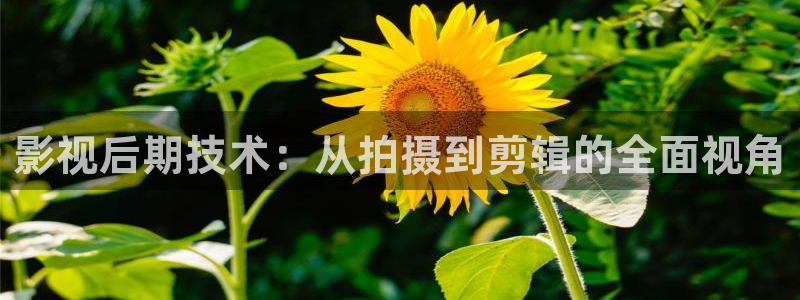 97超碰人人人做人人爱：影视后期技术：从拍摄到剪辑的全面视角