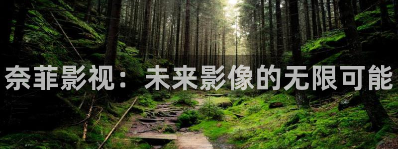 超碰观看91：奈菲影视：未来影像的无限可能