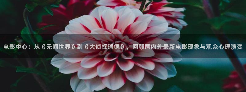 在线超碰av社区
