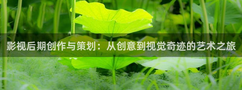 超碰免费在线电影